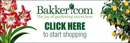 Banner CLICK HERE to visit the Bakker website