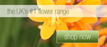 CLICK HERE to shop now!