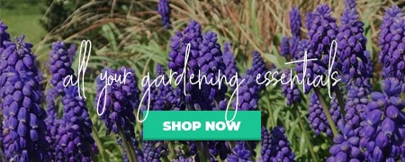 Banner Click Here To Transform Your Garden!