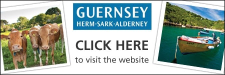 CLICK HERE to visit the website