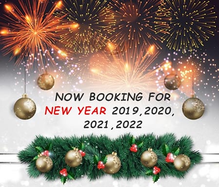 CLICK HERE to book New Year's Eve castle celebrations!